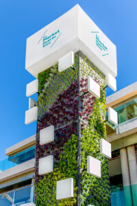Cubo Lona The Market Puerto Rico